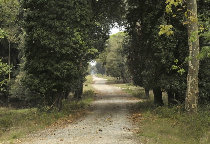 Tenuta di San Rossore - Riserva del Paduletto